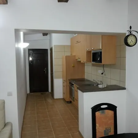 Apartament Calea Turzii 克卢日-纳波卡